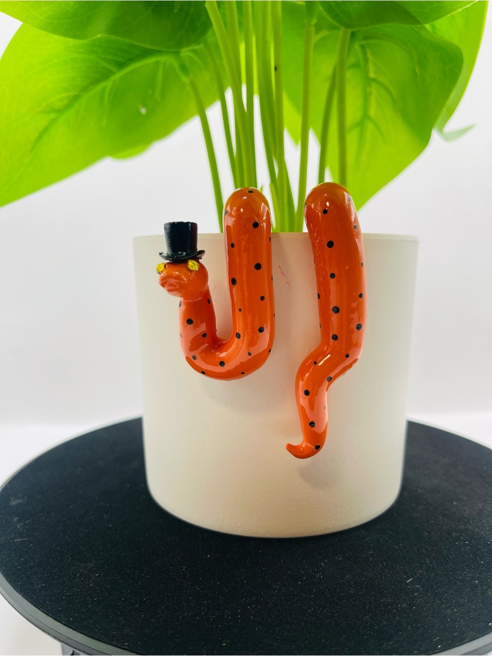Mini Halloween Snake Plant Hanger - Pot Decor “Jack-o-Hiss”